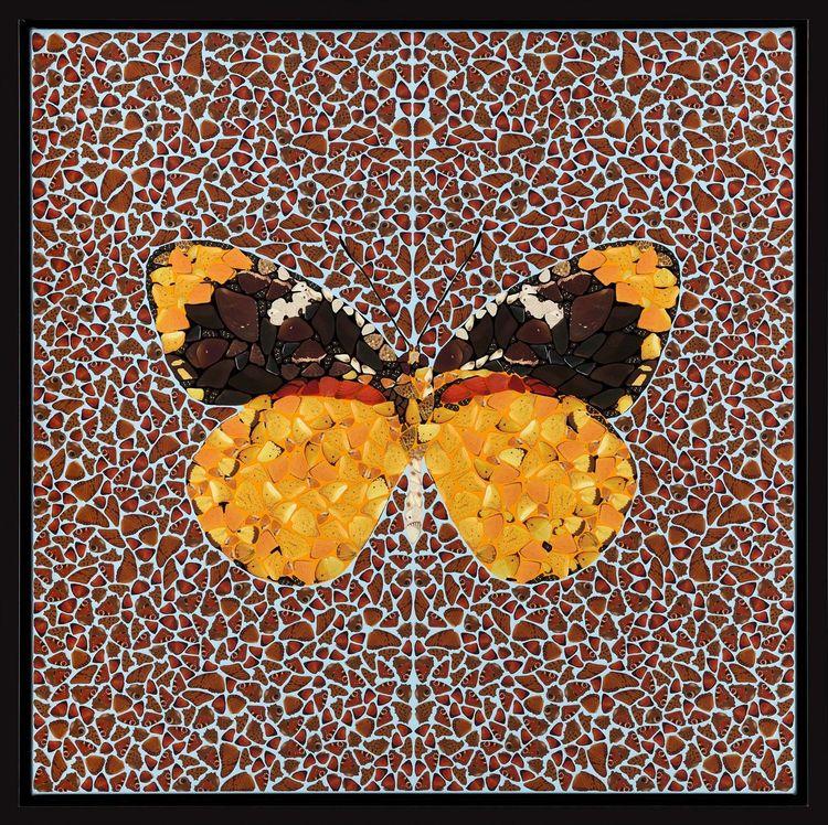 DP15 Delias S. - Depictions 
