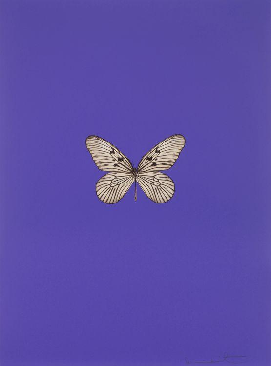 It's a Beautiful Day I (Purple)