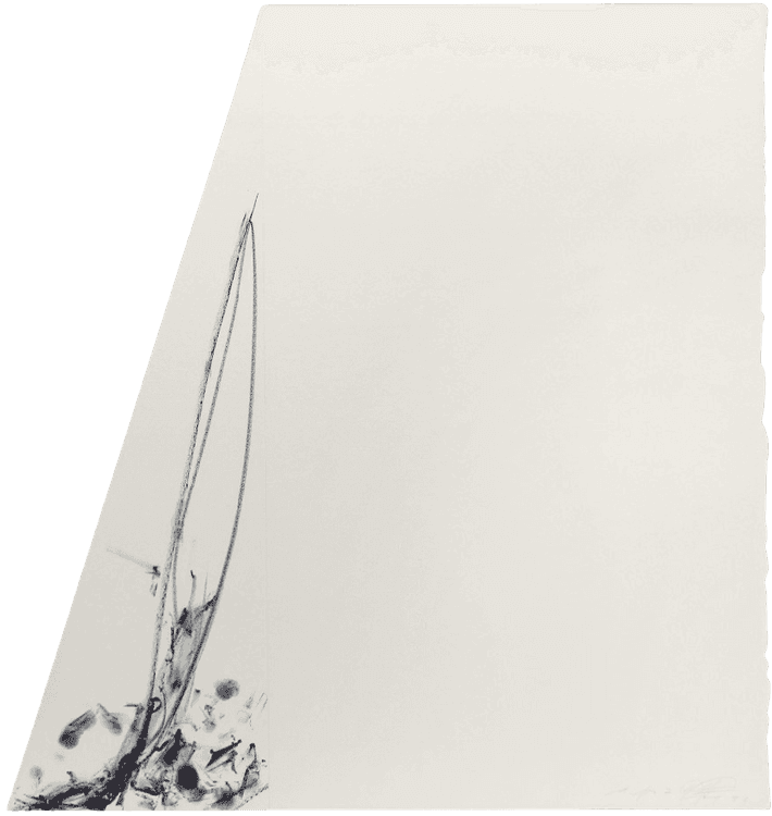 Sail