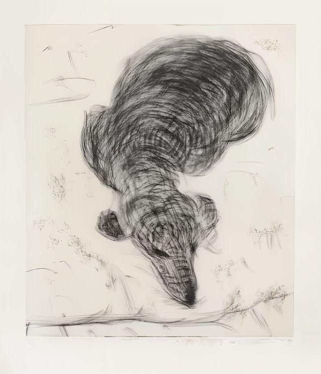 Dog Etching No. 7