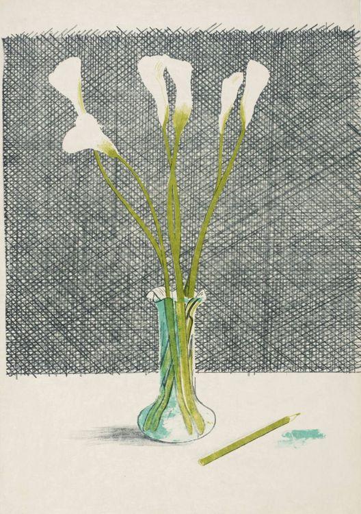 Lilies