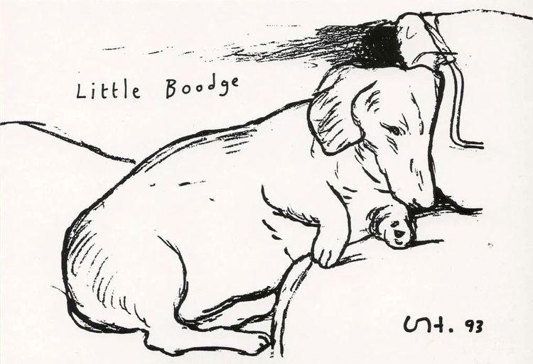 Little Boodge