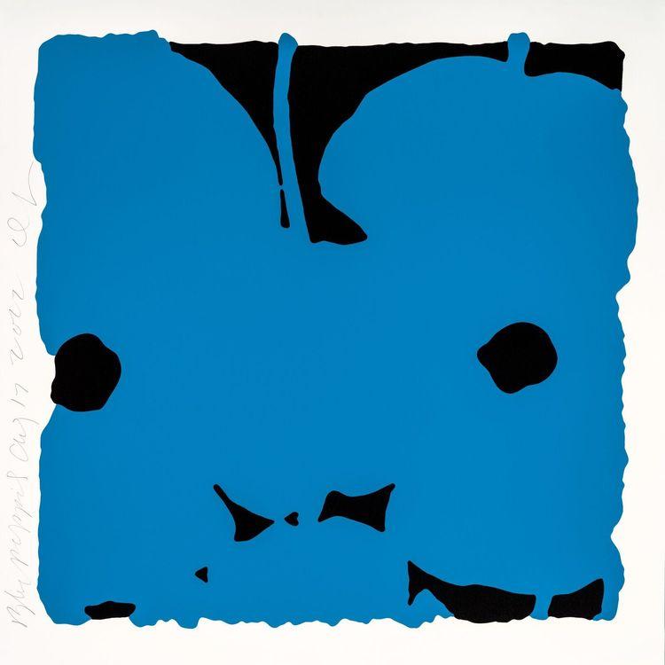 Blue Poppies Aug. 17th 2022