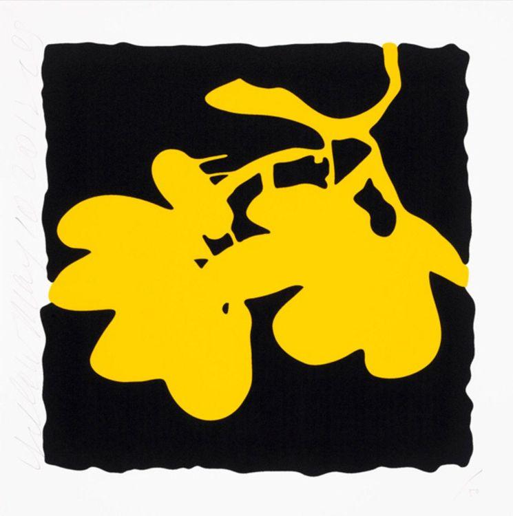 Lantern Flowers - Yellow