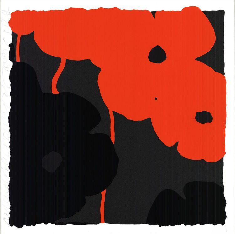 Red & Black Poppies II