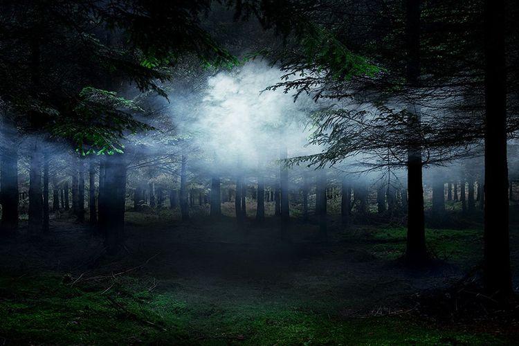 Between The Trees 4 (Small)