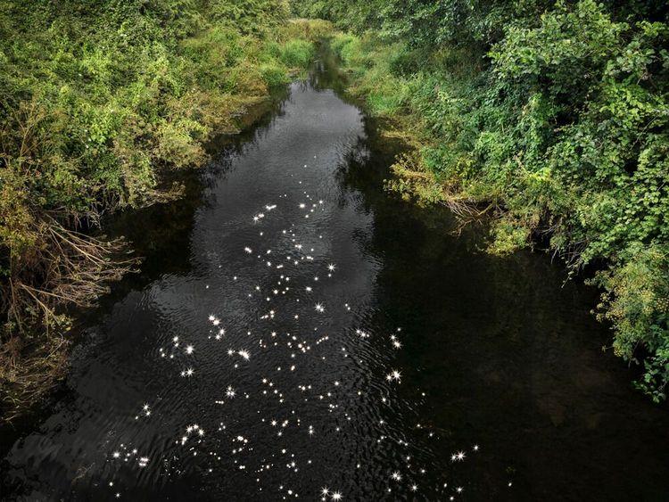 Chalk Stream 8 (Medium)