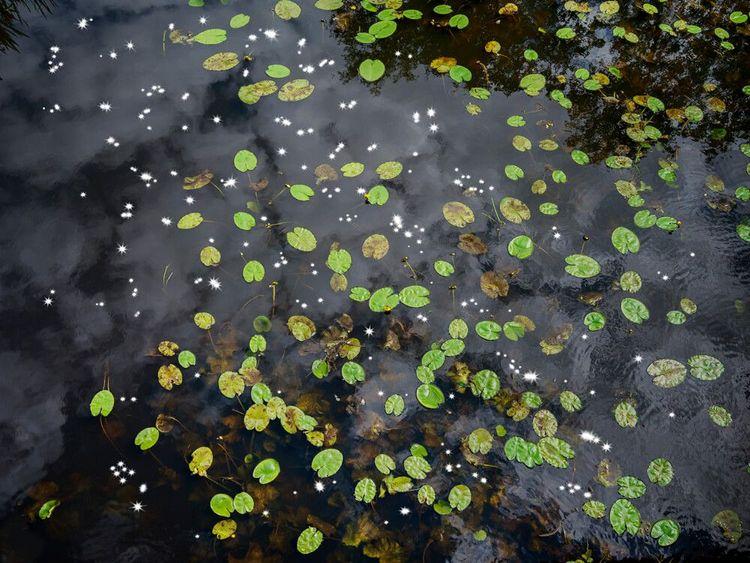 Chalk Stream 9 (Large)
