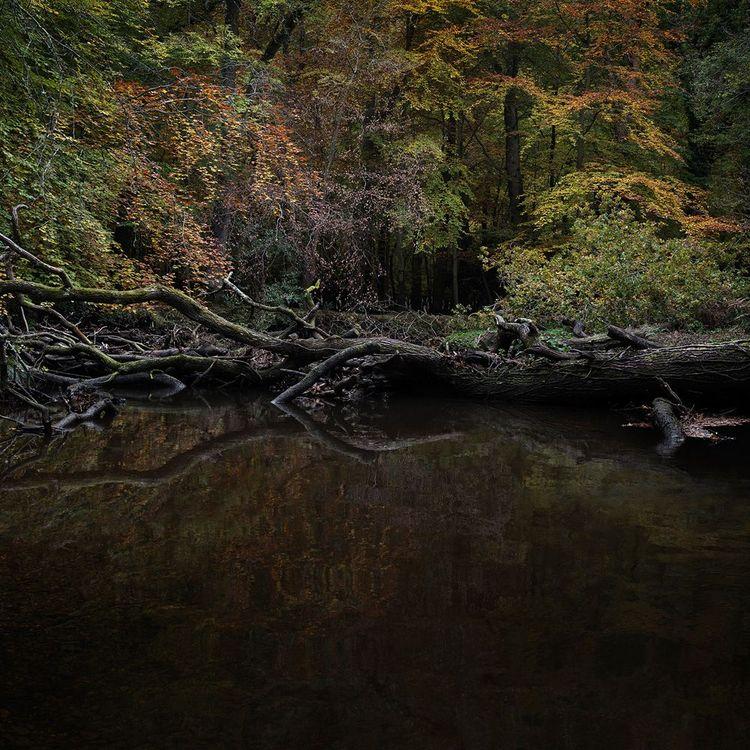 Half Light 2 (Small)