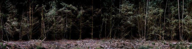 Silent, Dark and Deep 9 (Small)