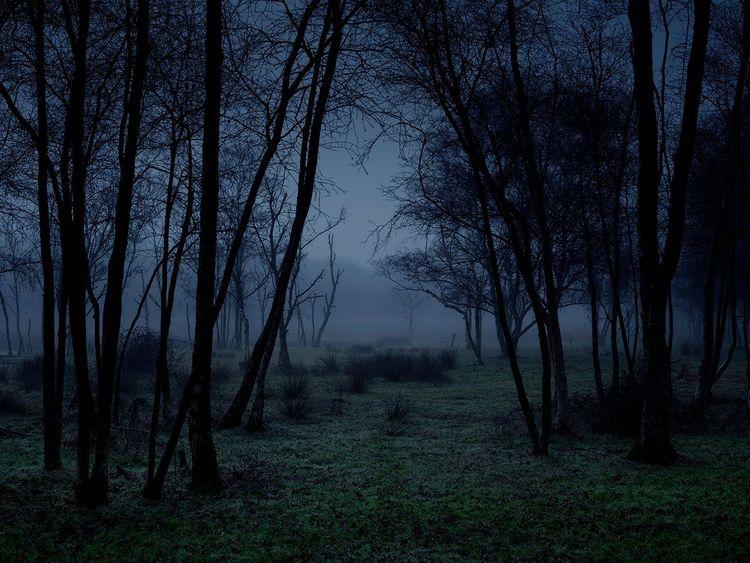 Stillness 3 (Small)