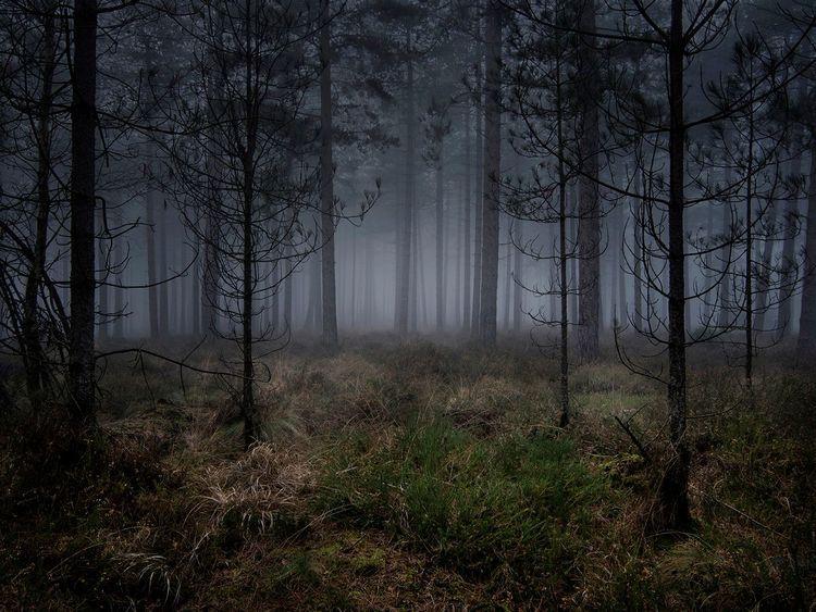 Stillness 5 (Small)