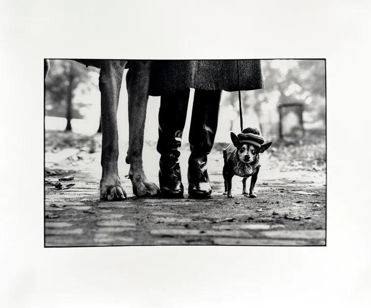 Felix, Gladys and Rover