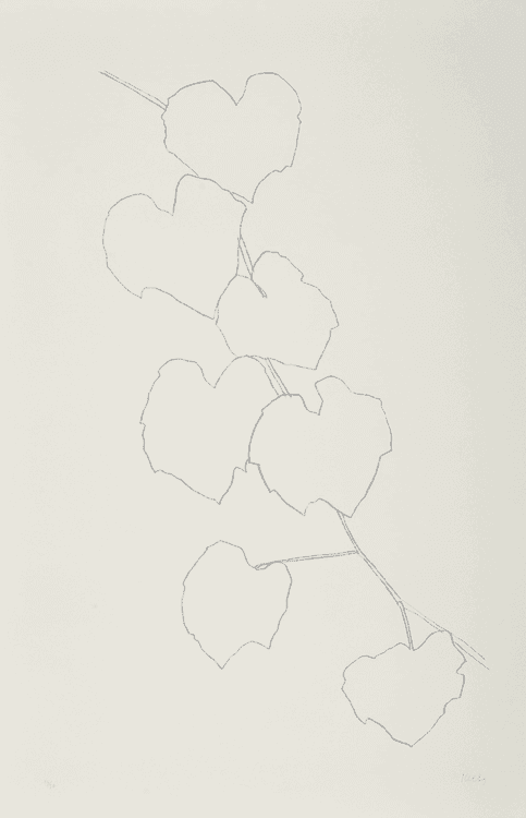 Grape Leaves II