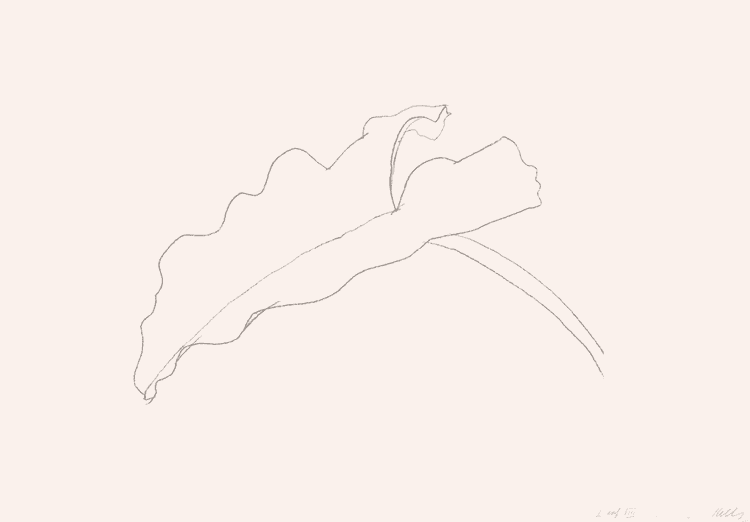 Leaf VIII