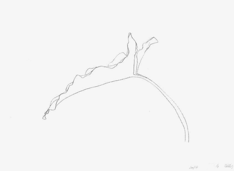 Leaf VII