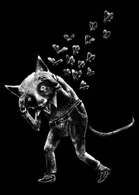 Il Gatto