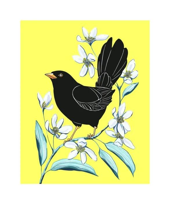 Blackbird and Clematis