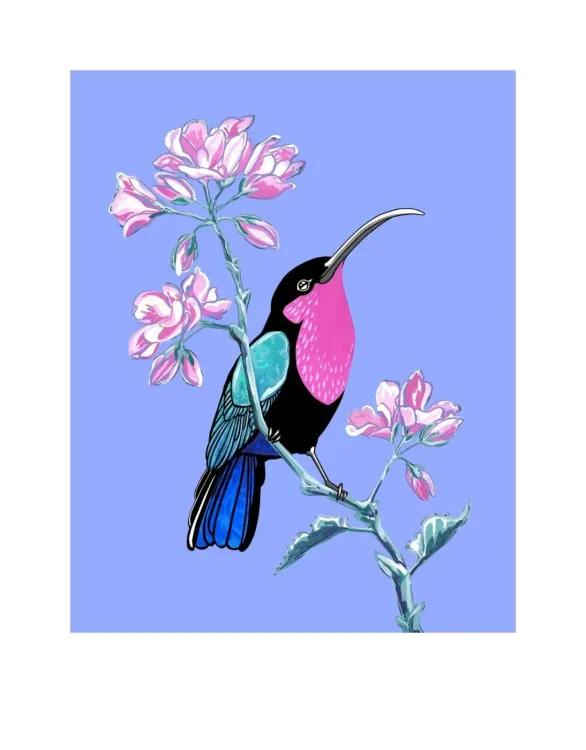 Purple Throated Carib and Geranium