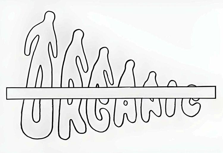 The Organic Interface