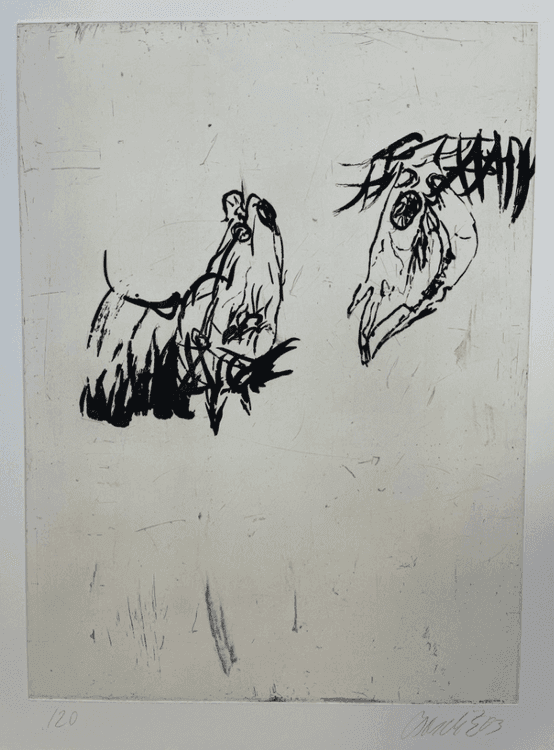 Vorher, Nachher
