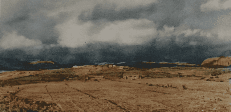 Canary Landscapes I e