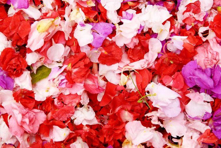 Petals