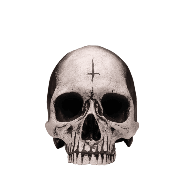 Human Skull - Voodoo