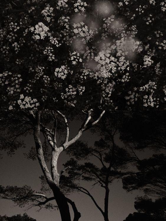 Gaia Diptych 108 (Large)