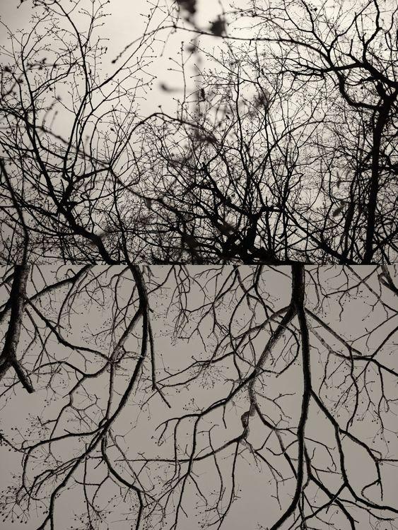 Gaia Diptych 48 (Large)