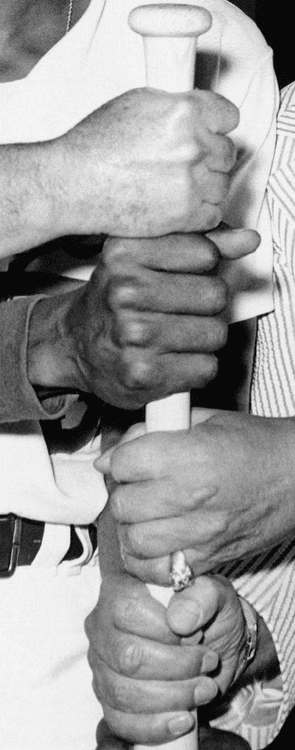 Four Hands and a Baseball Bat