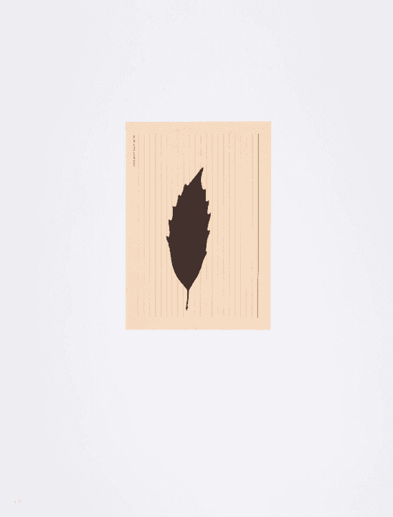 Blatt auf Karteikarte