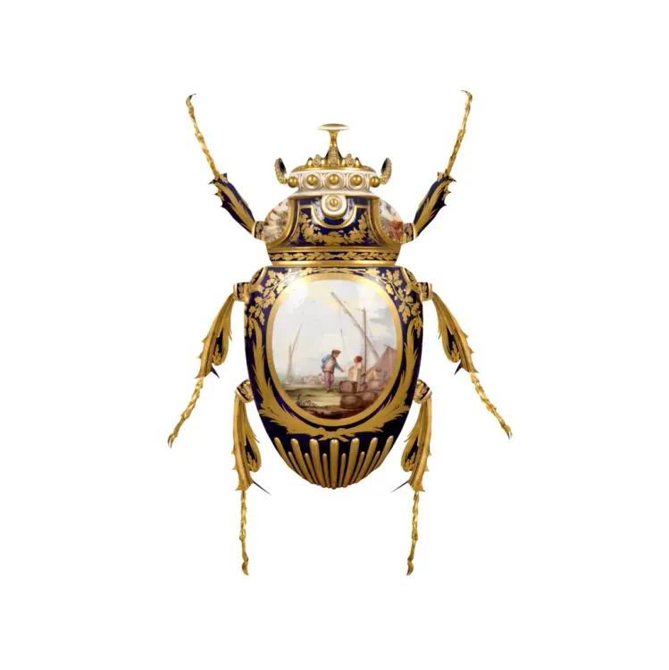 Sevres Goliathus Scarabaeidae