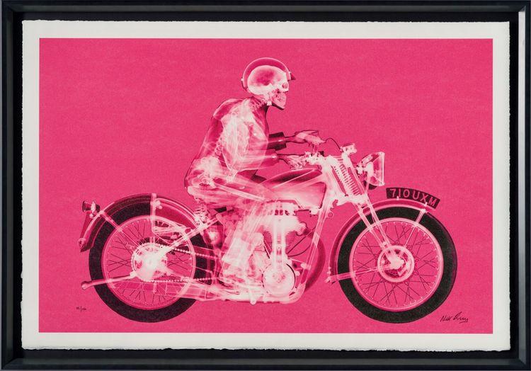 Matchless Rider (Standard Pink)