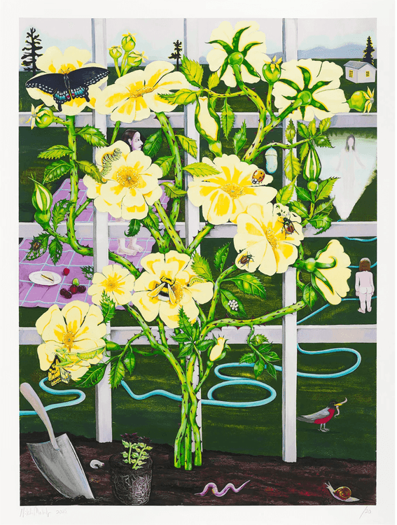 Climbing Rose, 2025