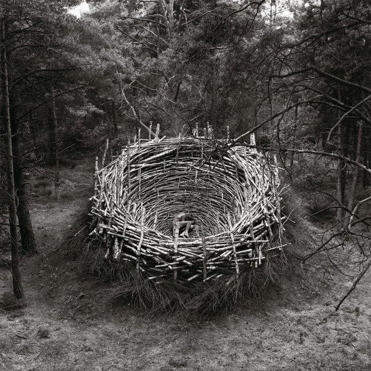 Release Image