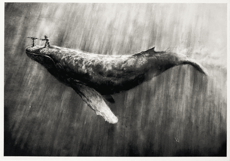 Ahab (Postcard)