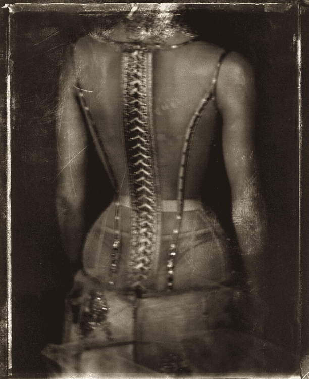 Anatomie I