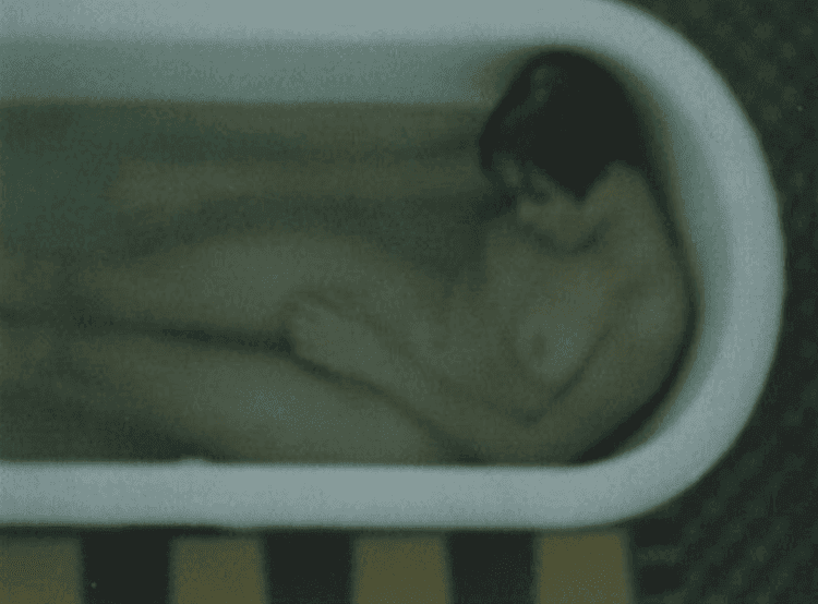 Hommage à Bonnard