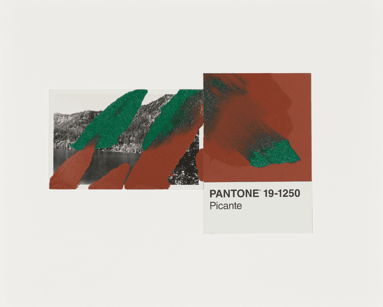 Pantone Pair (Picante)