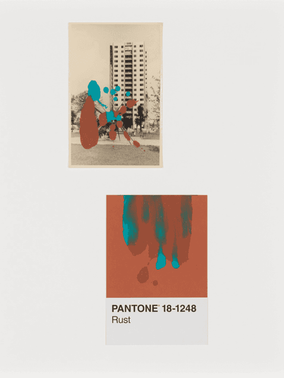 Pantone Pair (Rust)