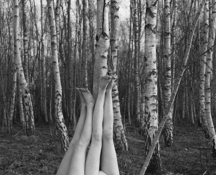 What if These Were Legs 01 (Medium)