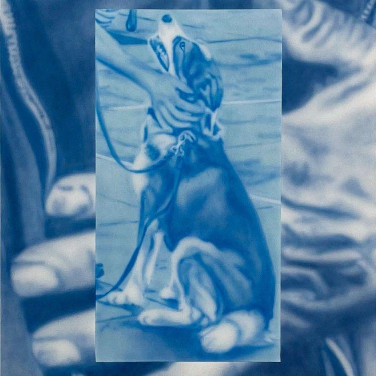 Release Image