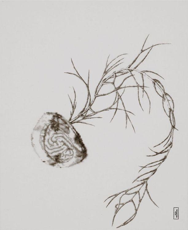 Release Image