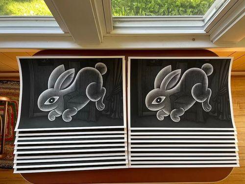 Rabbit in Living Room