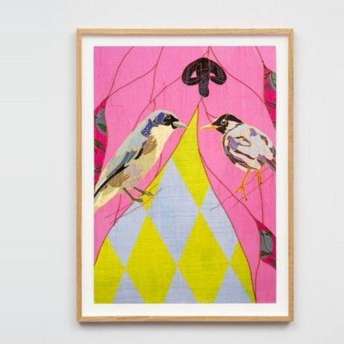 African Bird Magic