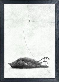 The Window