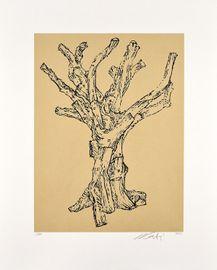 Artwork - Cedar