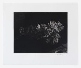 https://cdn.fairart.io/thumbnail_Ai_Weiwei_Oak_Leaves_2_4d47663c54.jpg - 1