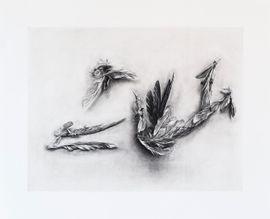 https://cdn.fairart.io/thumbnail_Ai_Weiwei_Parrot_Feathers_1_399542ef5a.jpg - 0